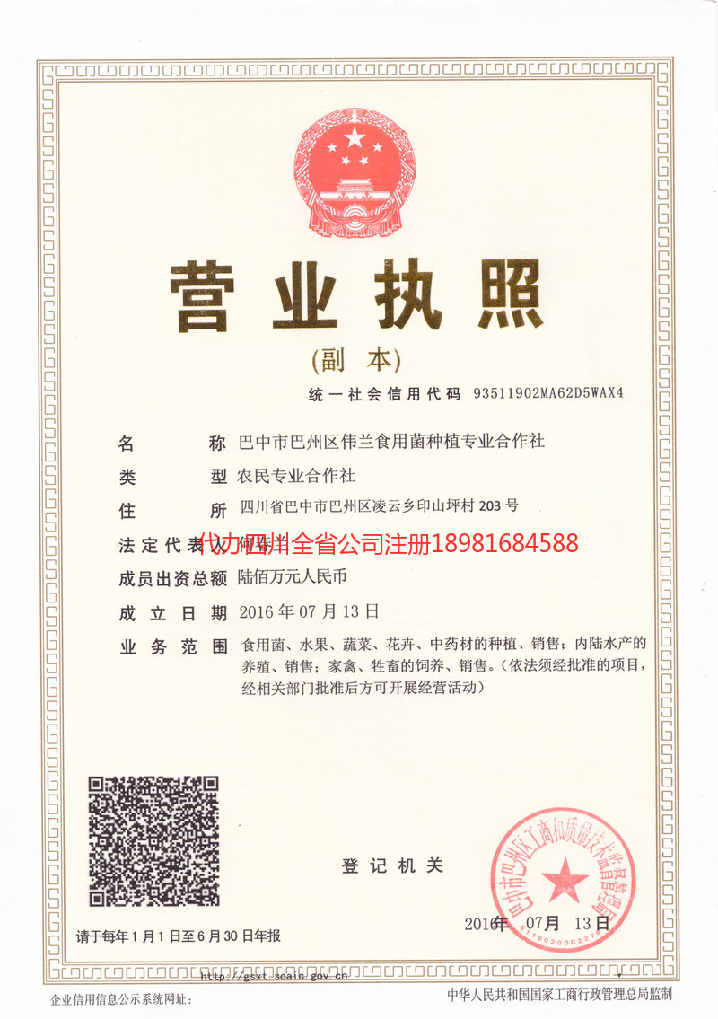 峨眉山峨眉山伟兰食用菌种植专业合作社